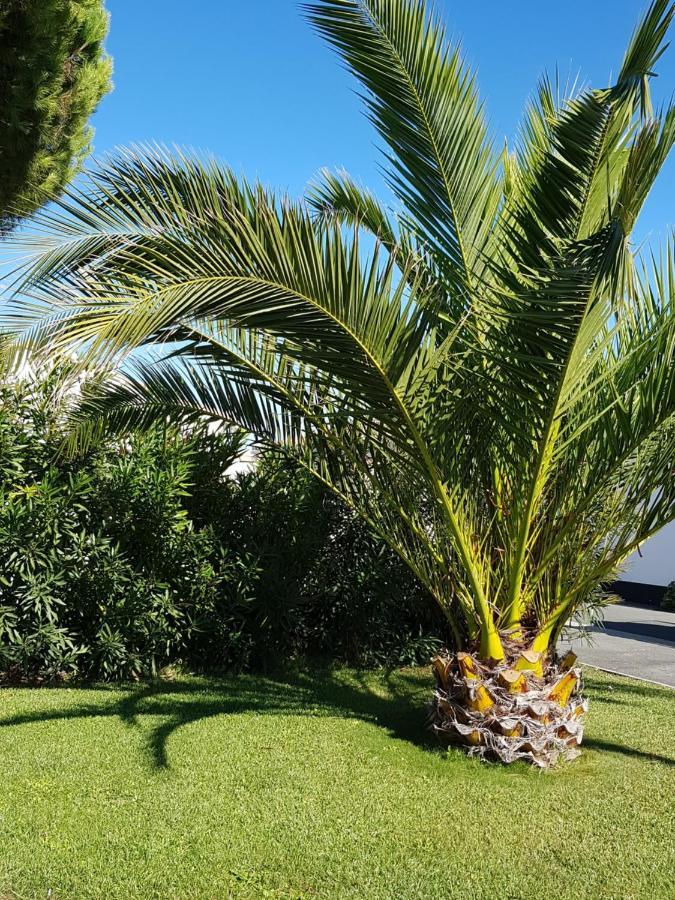 Hotel Jerodel Le Bois-Plage-en-Ré Εξωτερικό φωτογραφία